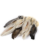 Rabbit Ears with Fur-5
