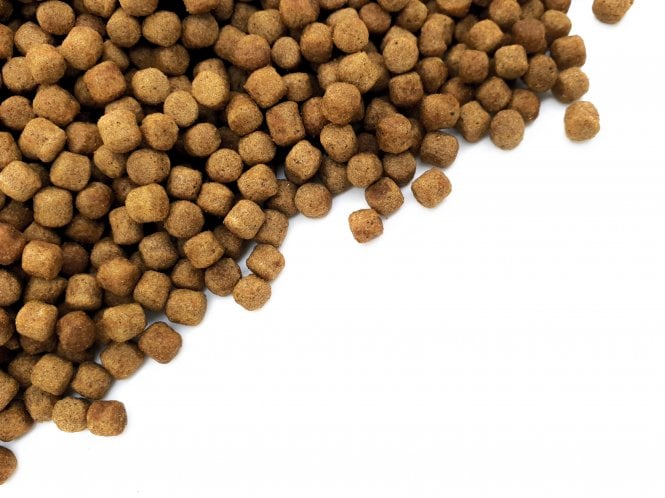 Koi Wheatgerm Pellets 6mm