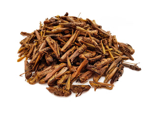 Dried Grasshoppers