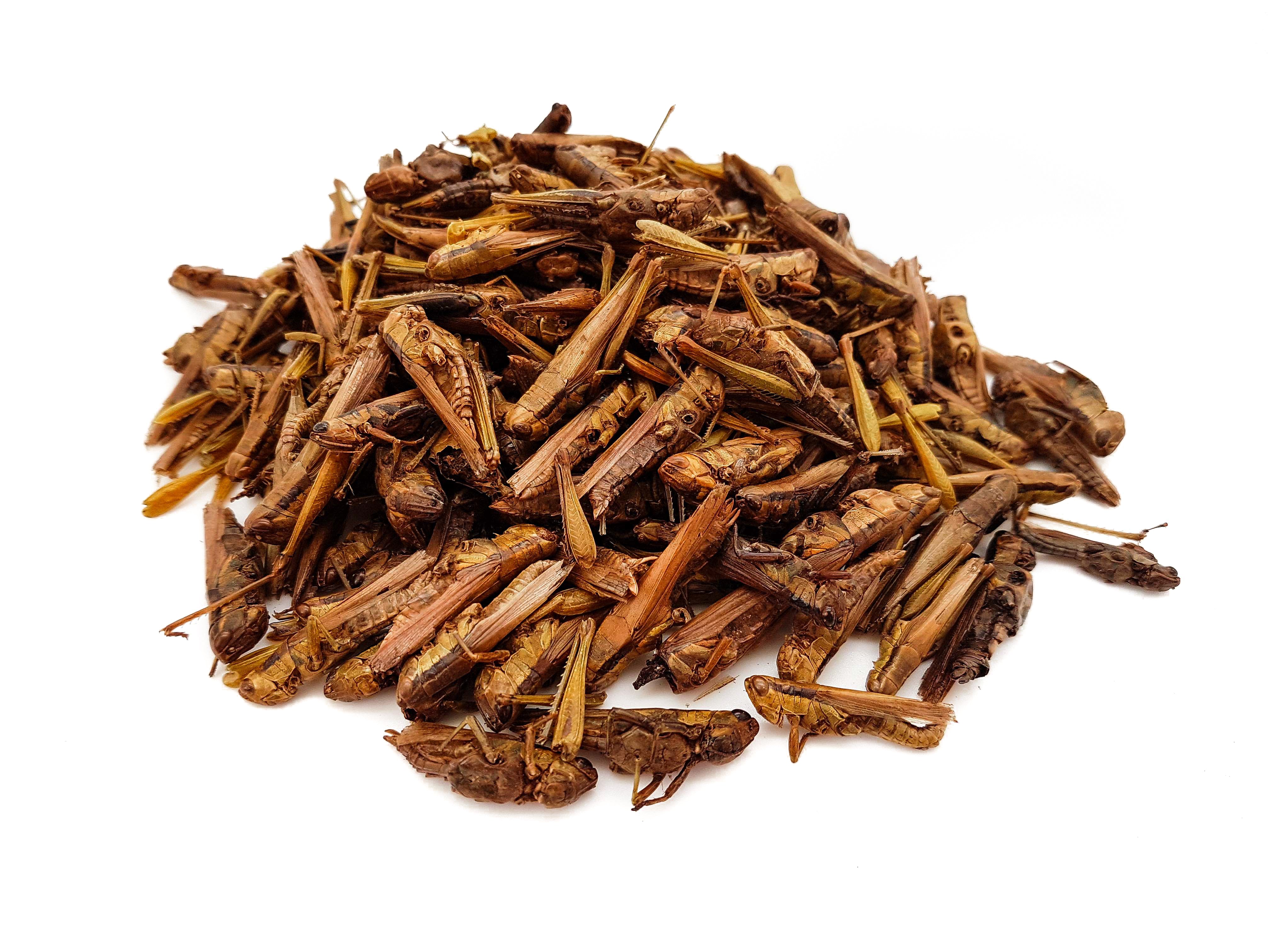 Dried Grasshoppers