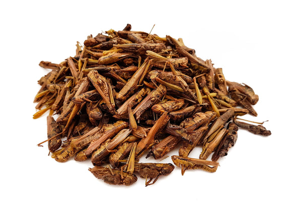 Dried Grasshoppers